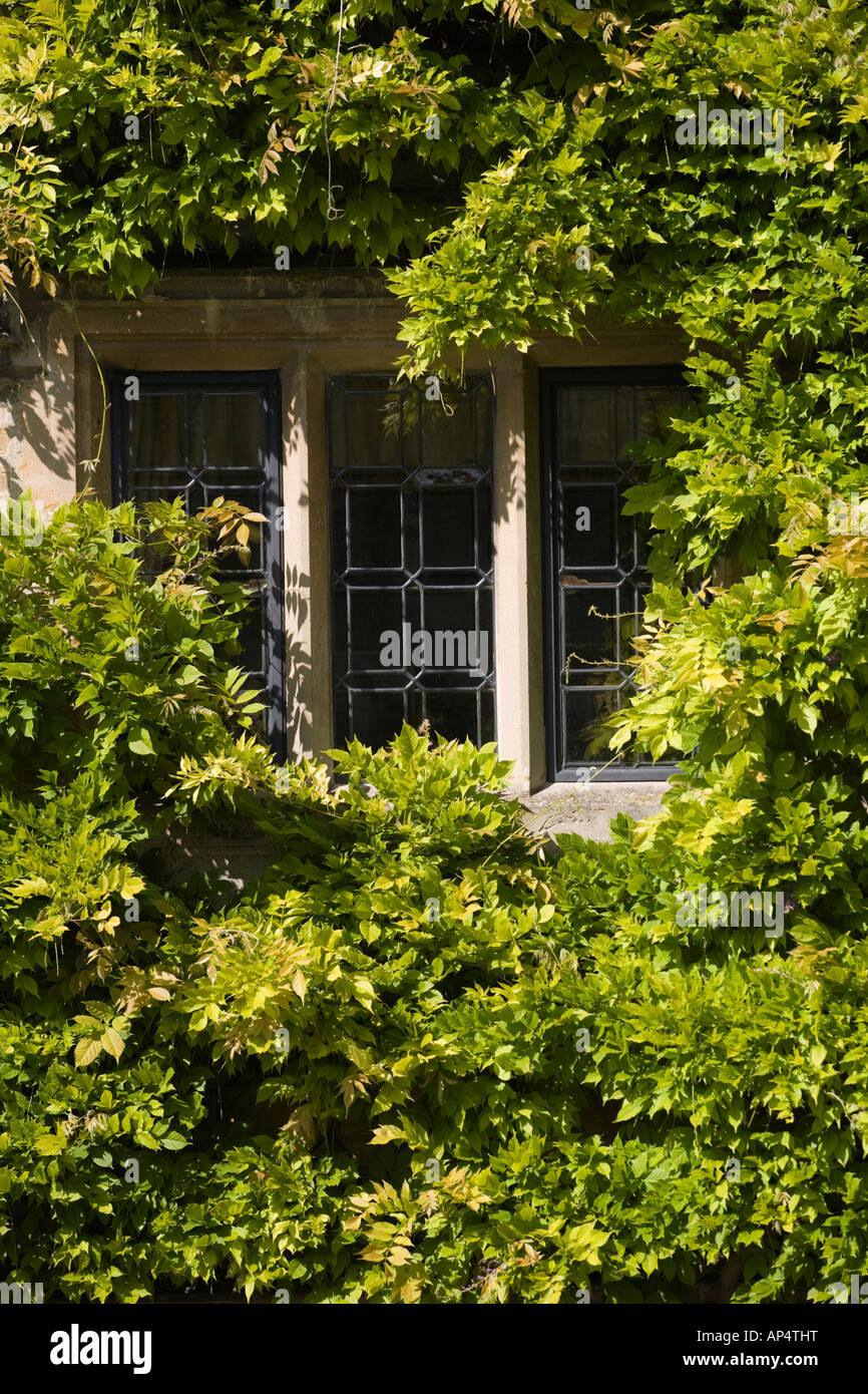 Country cottage window hires stock photography and images Alamy