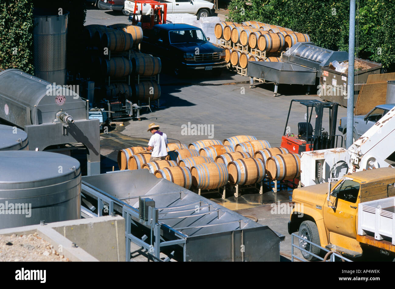 Winemaker filling oak barrique casks Napa Valley California USA Stock Photo