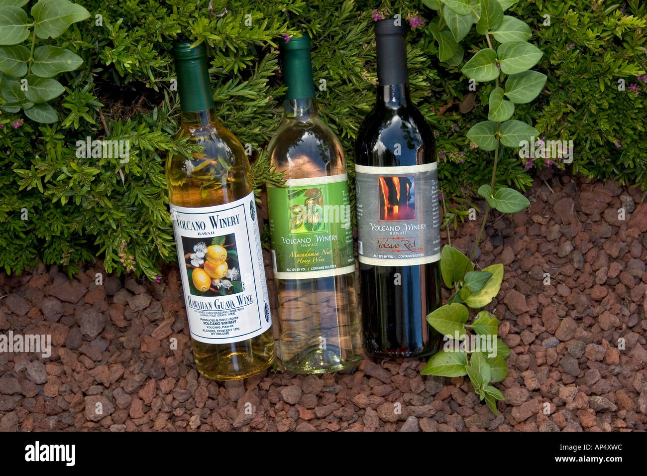 Hawaiian guava macadamia nut honey and Volcano red wine from the Volcano Winery on the Big Island Hawaii Stock Photo Alamy