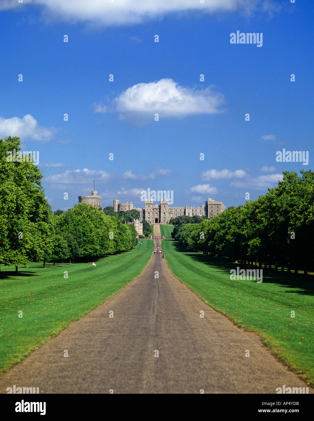 Windsor Castle view of The Long Walk Berkshire England Stock Photo