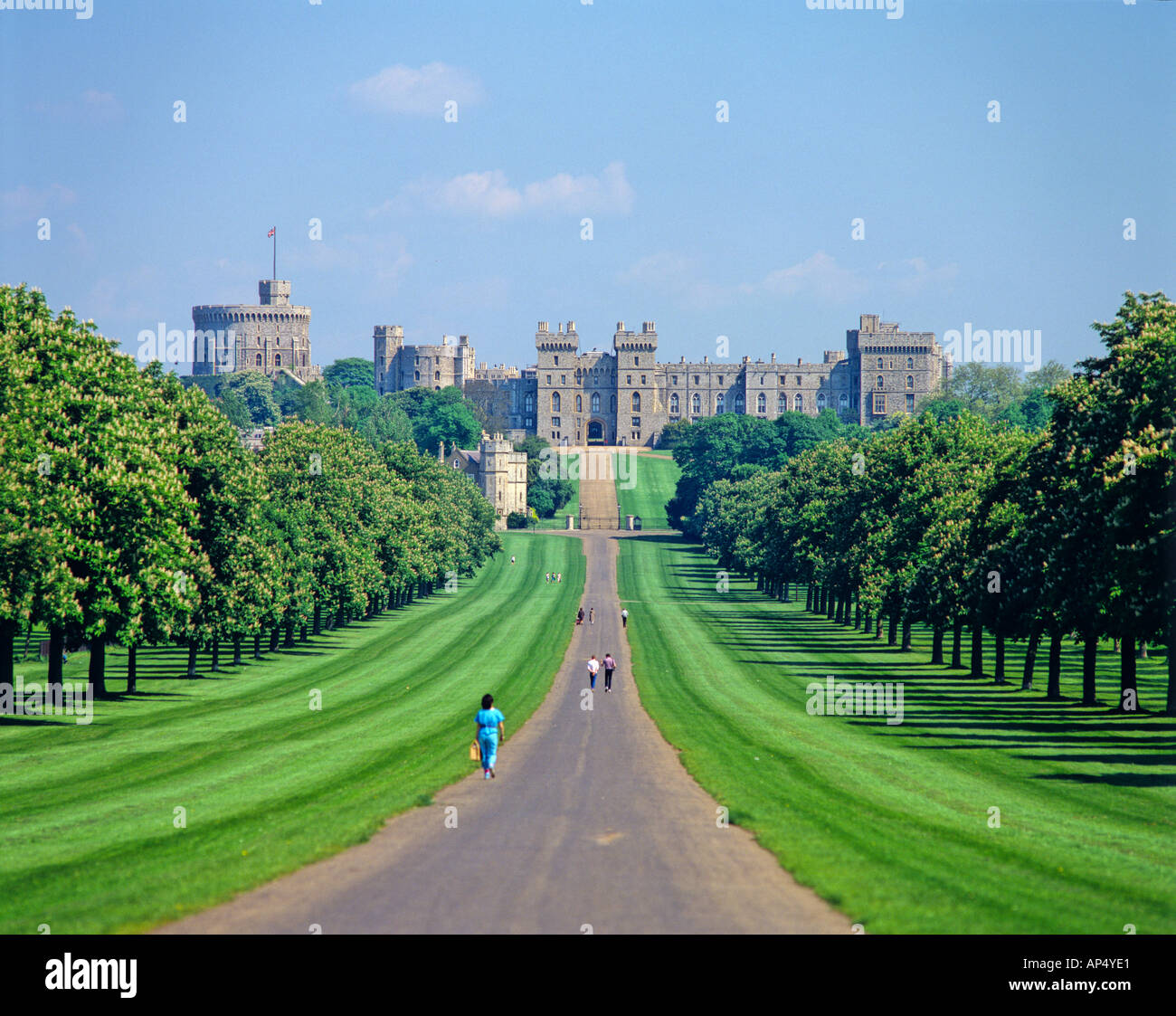 Windsor Castle view of The Long Walk Berkshire England Stock Photo