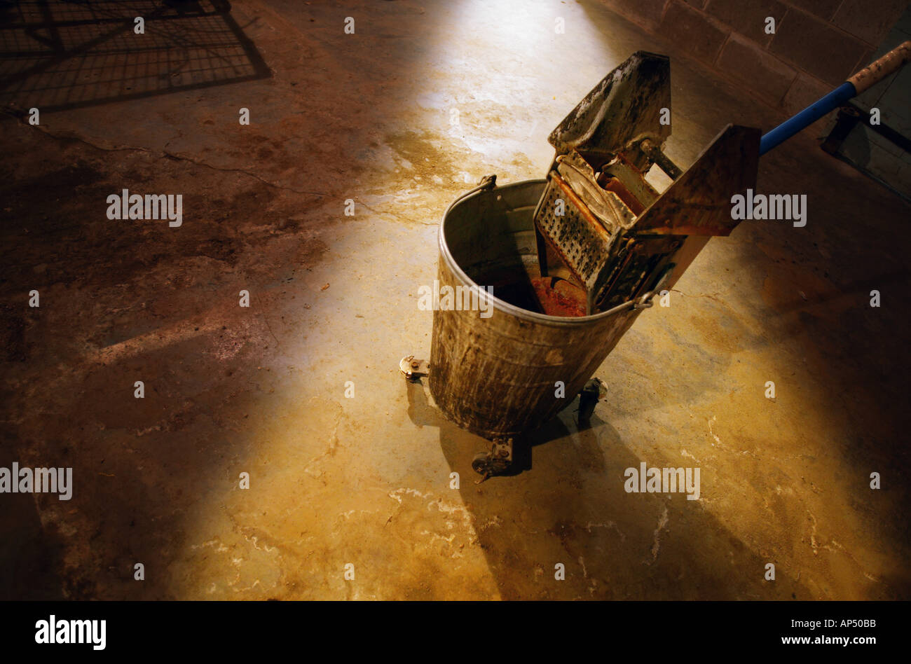 A mop bucket Stock Photo Alamy