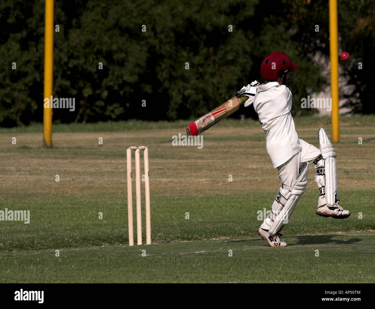 Young boy pulling or hooking a cricket ball during a match Ball in the air caught in motion Stock Photo