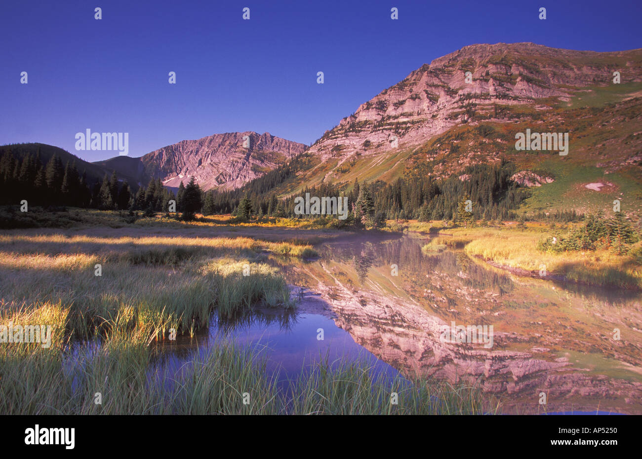 Small reed-filled lake surrounded by mountains Stock Photo