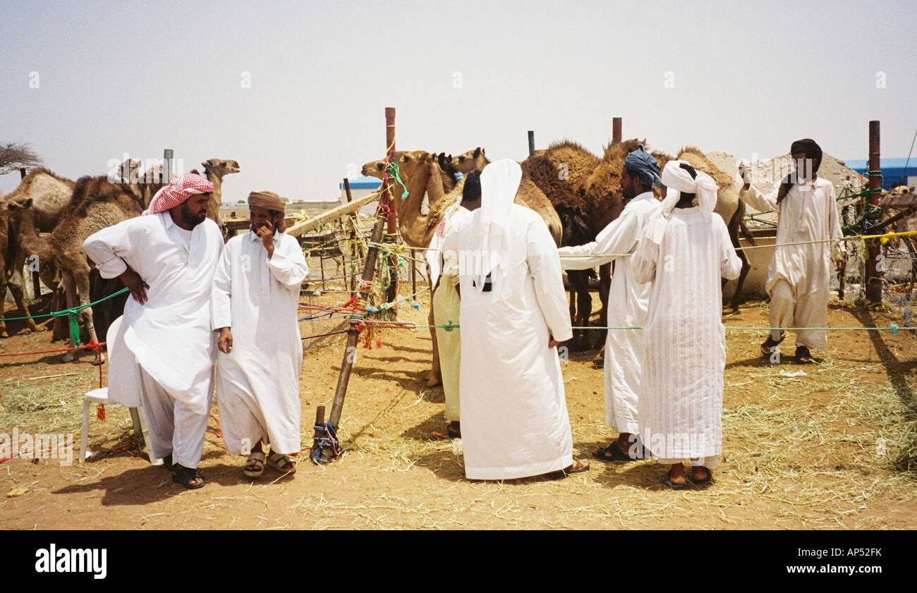 A Camel Market in Dubai Stock Photo Alamy