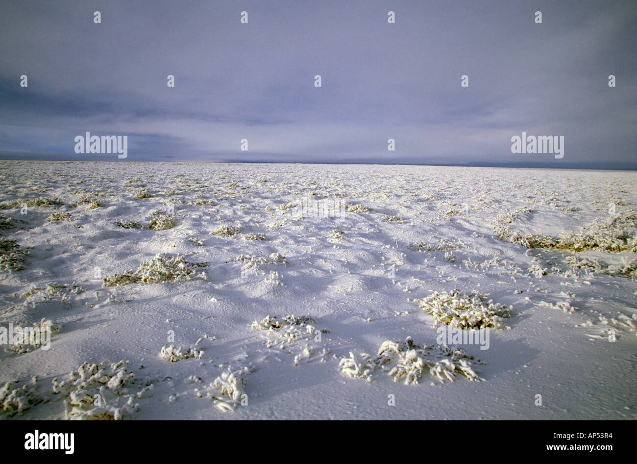 North America, USA, Alaska, North Slope. Snow covered tundra stretches to the horizon Stock Photo