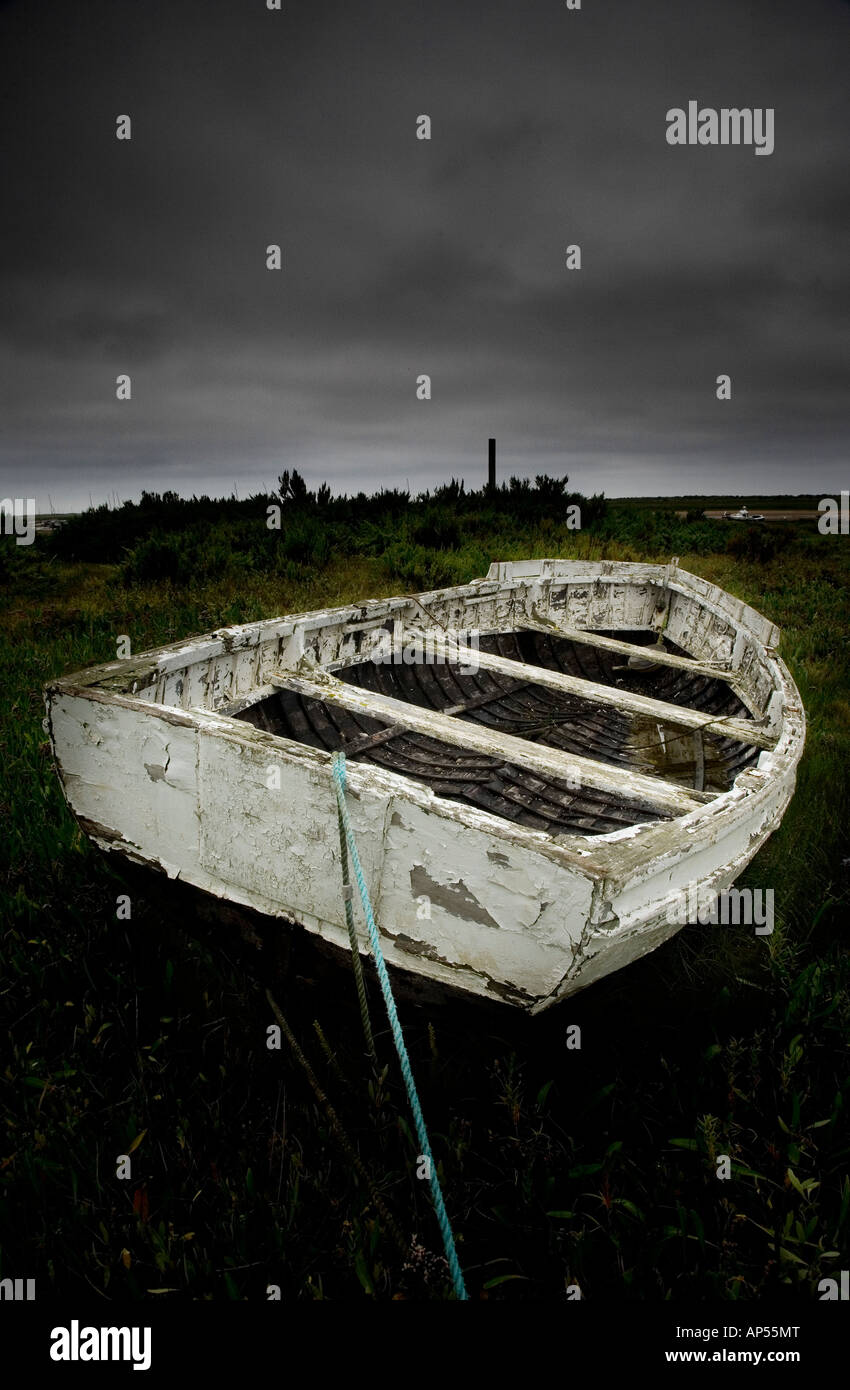 Old rowing boat in a marsh Stock Photo