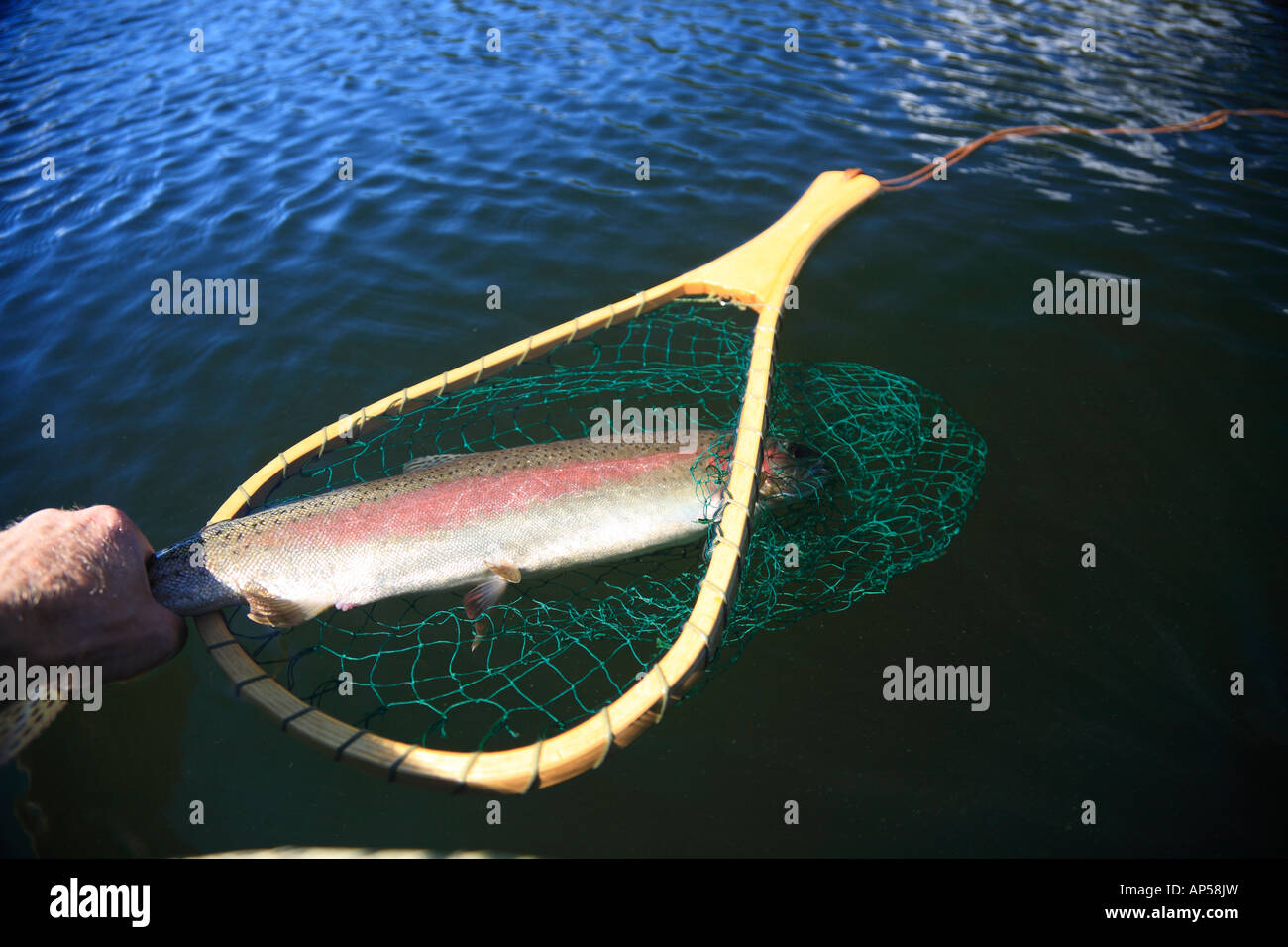 Fishing in b c hi-res stock photography and images - Page 3 - Alamy