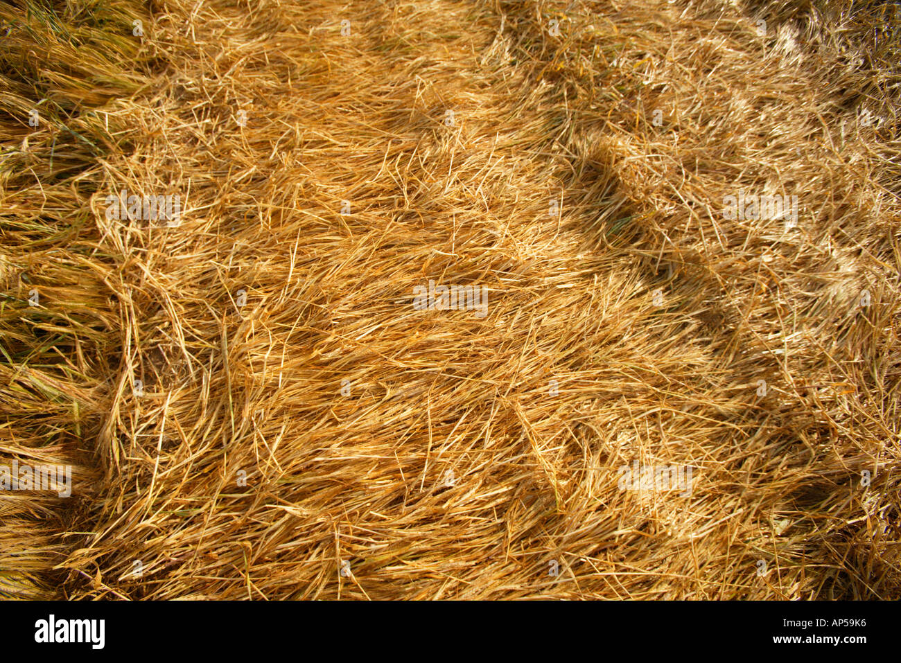 The east field crop circle hi-res stock photography and images - Alamy