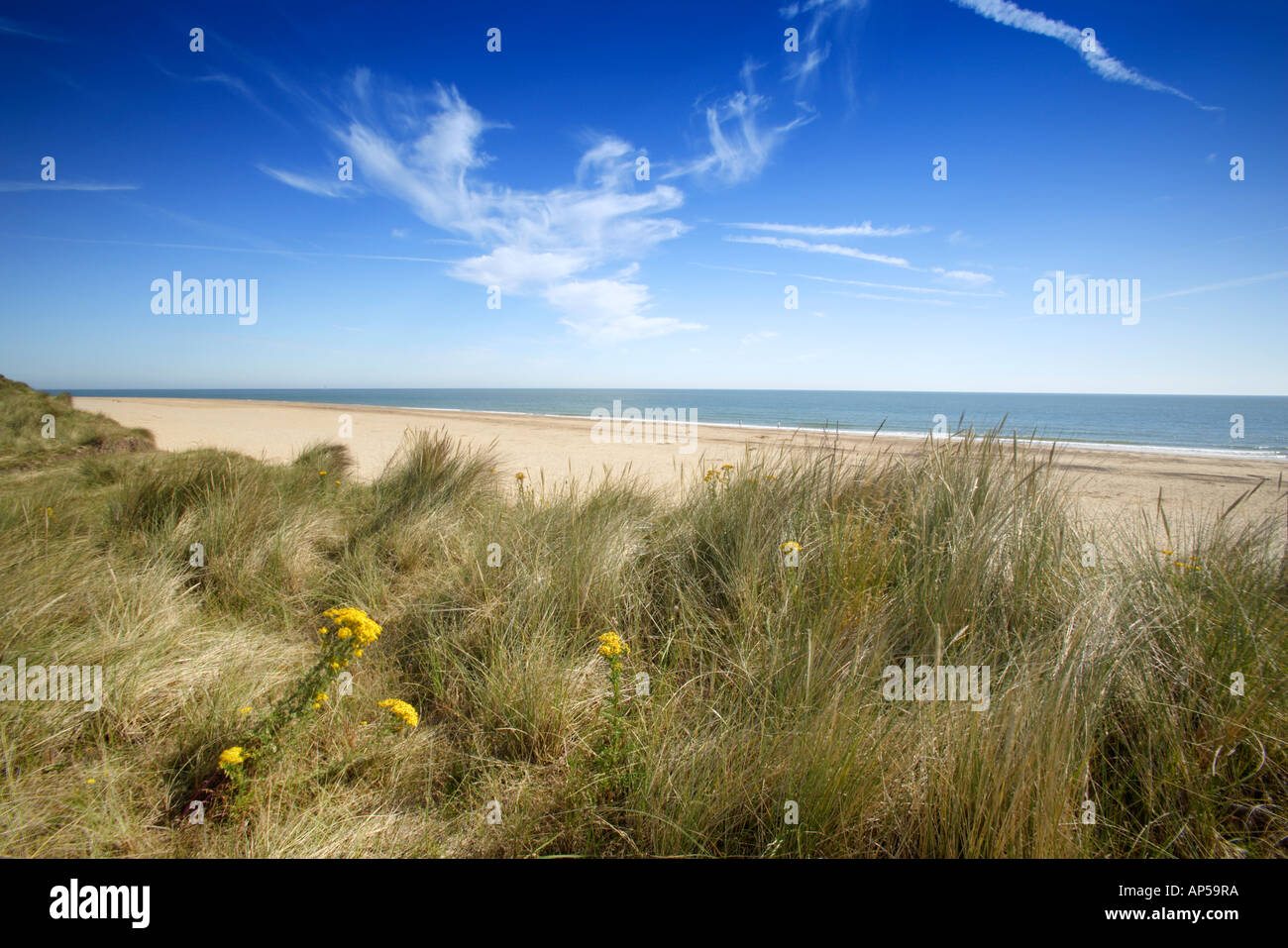 Sand Dunes, High Summer, Winterton On Sea Norfolk UK Stock Photo