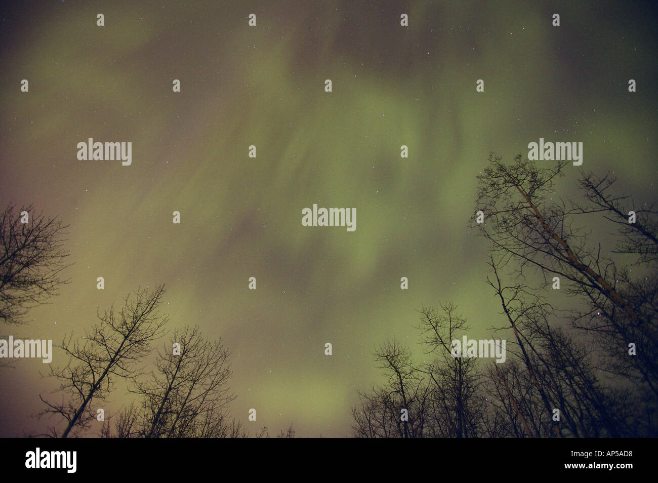 Edmonton canada stars hires stock photography and images Alamy