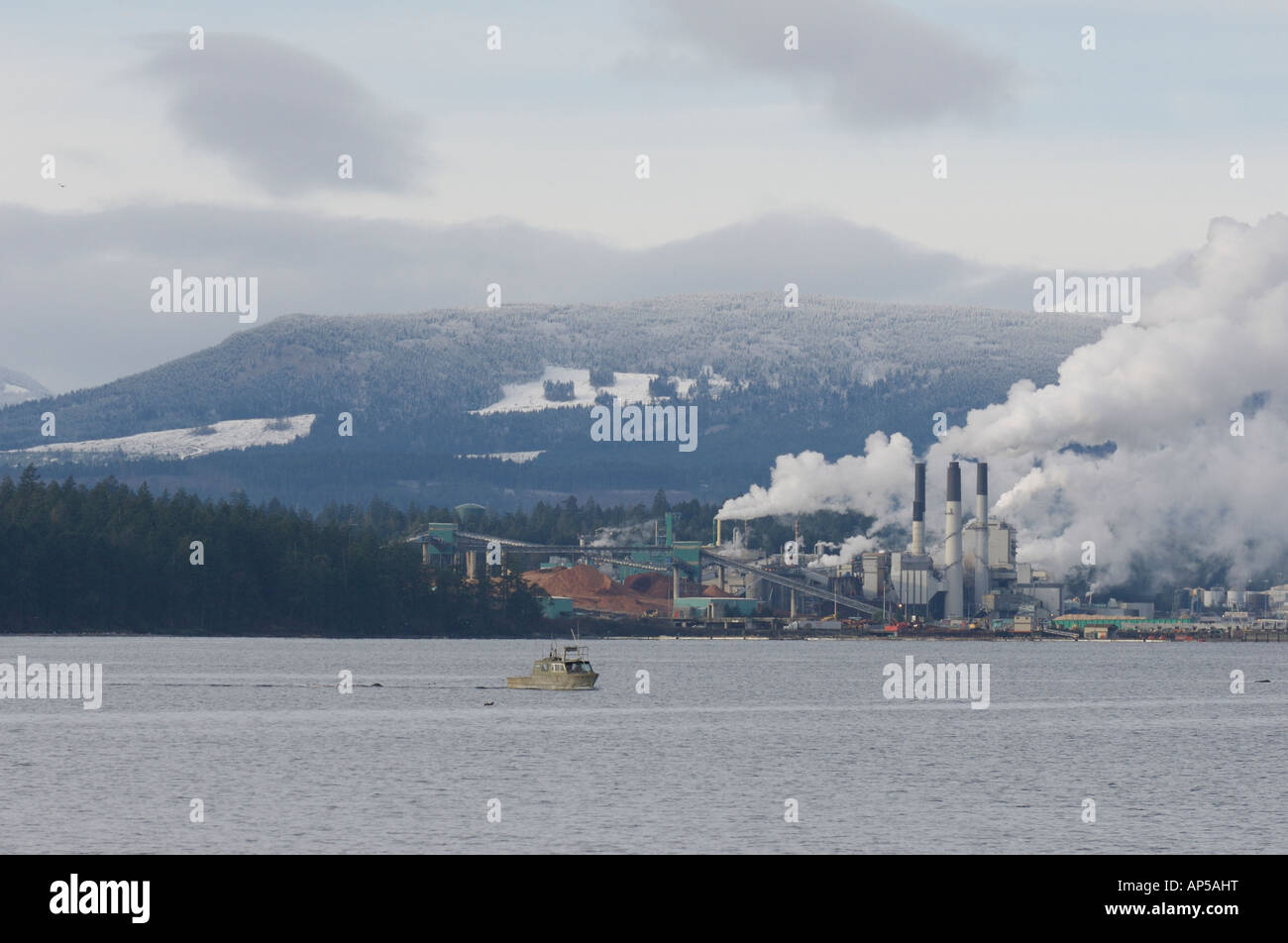 Pulp mill pollution hi-res stock photography and images - Alamy