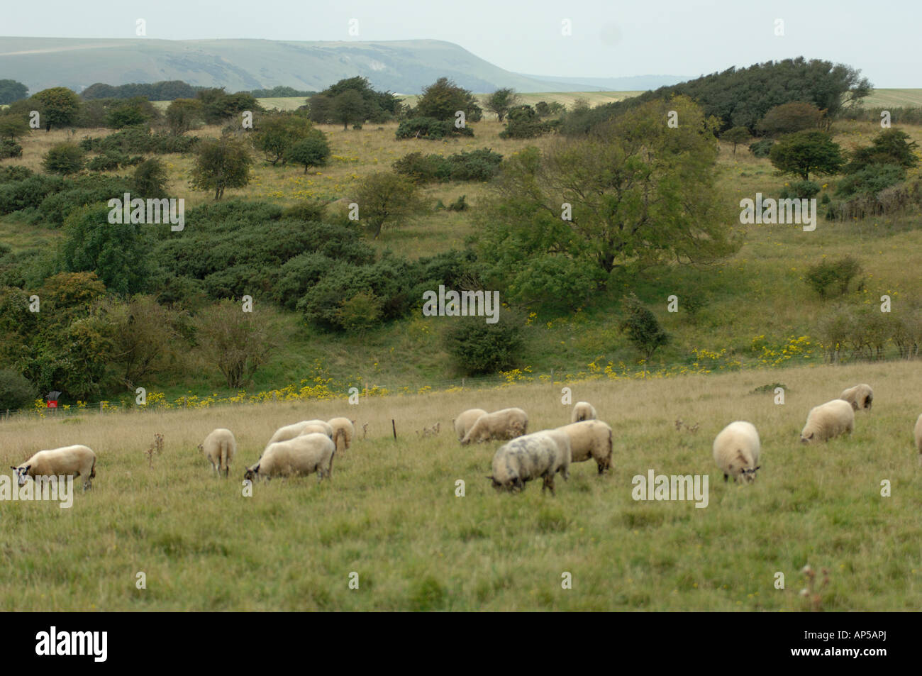 Land of beulah hires stock photography and images Alamy