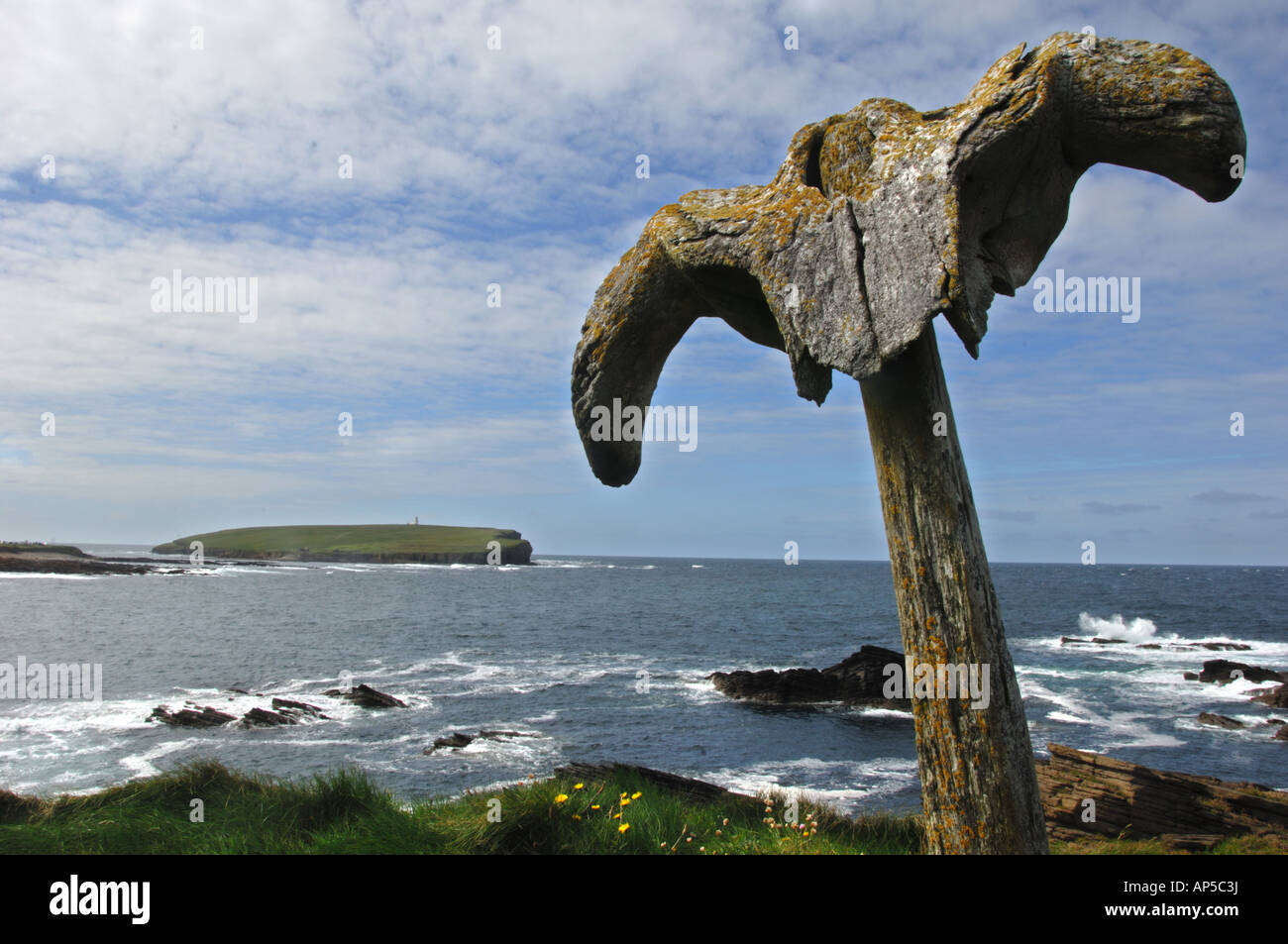 Whale bone at Brough of Birsay Mainland Orkney with Brough Head in