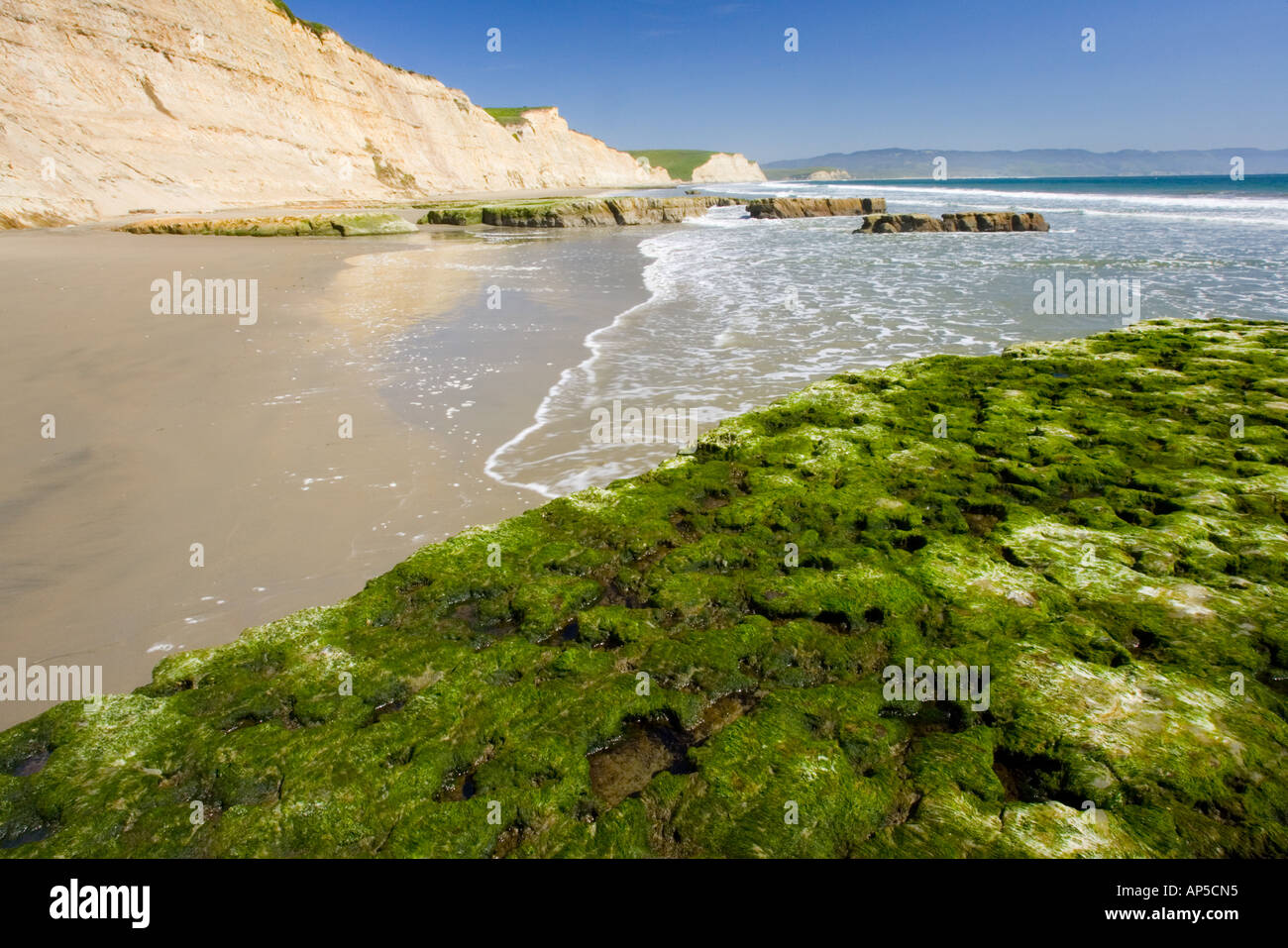 Pan Card Size Photo Editor Pan Card Size Photo Editor