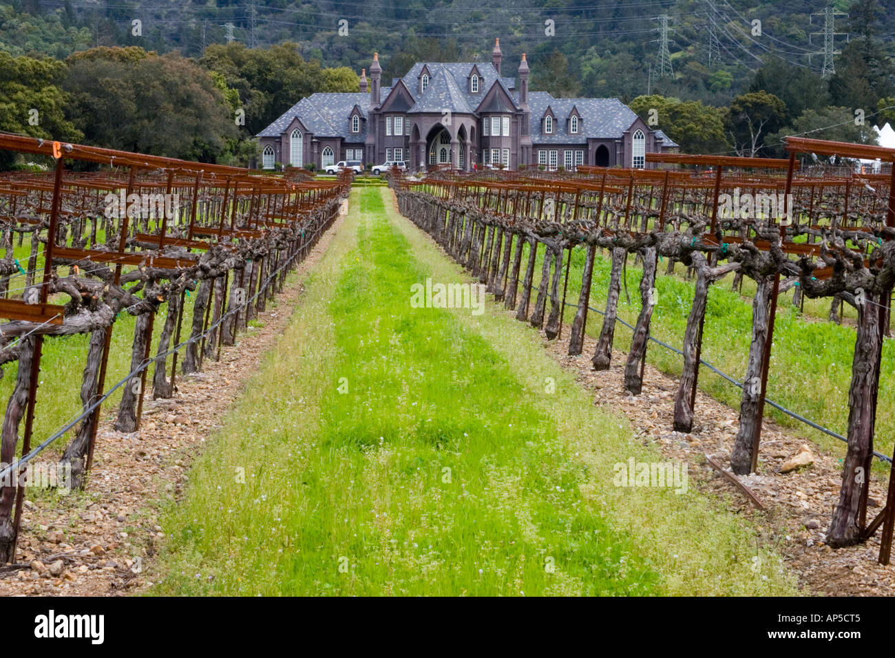USA, California, Sonoma Valley, Ledson Winery Stock Photo Alamy