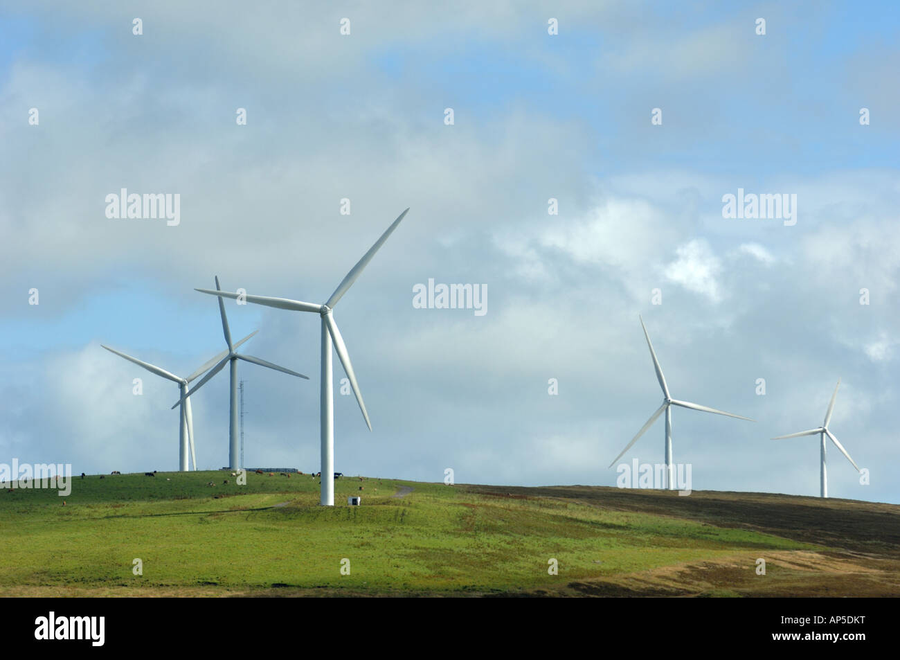 Burger Hill wind farm on mainland Orkney Scotland Stock Photo