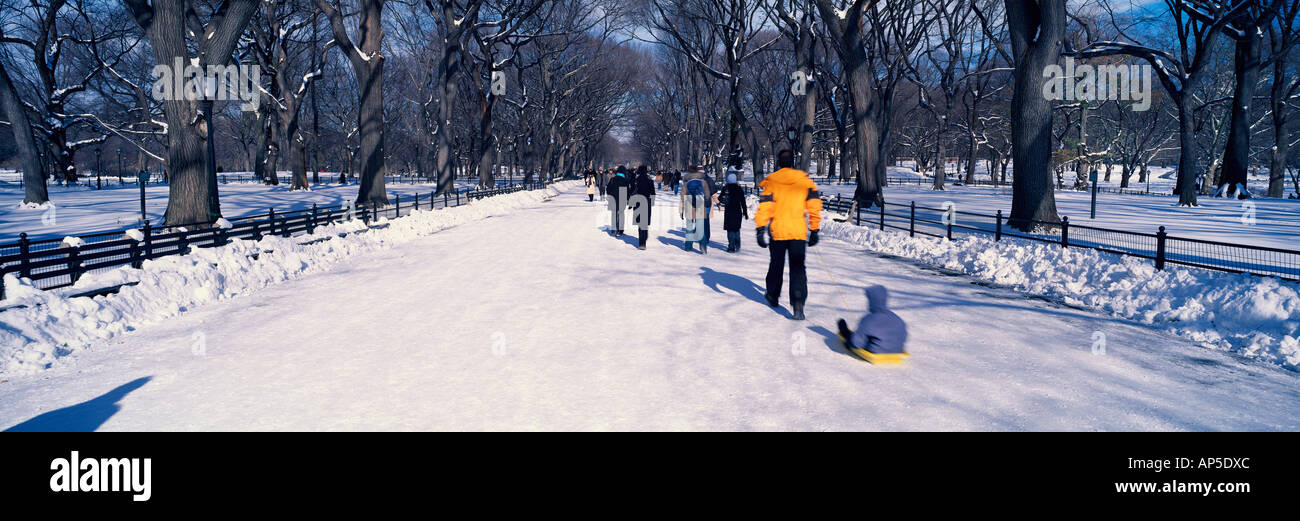 Panoramic view of walker pulling sled with child on fresh snow in Central Park Manhattan New York City NY in winter Stock Photo