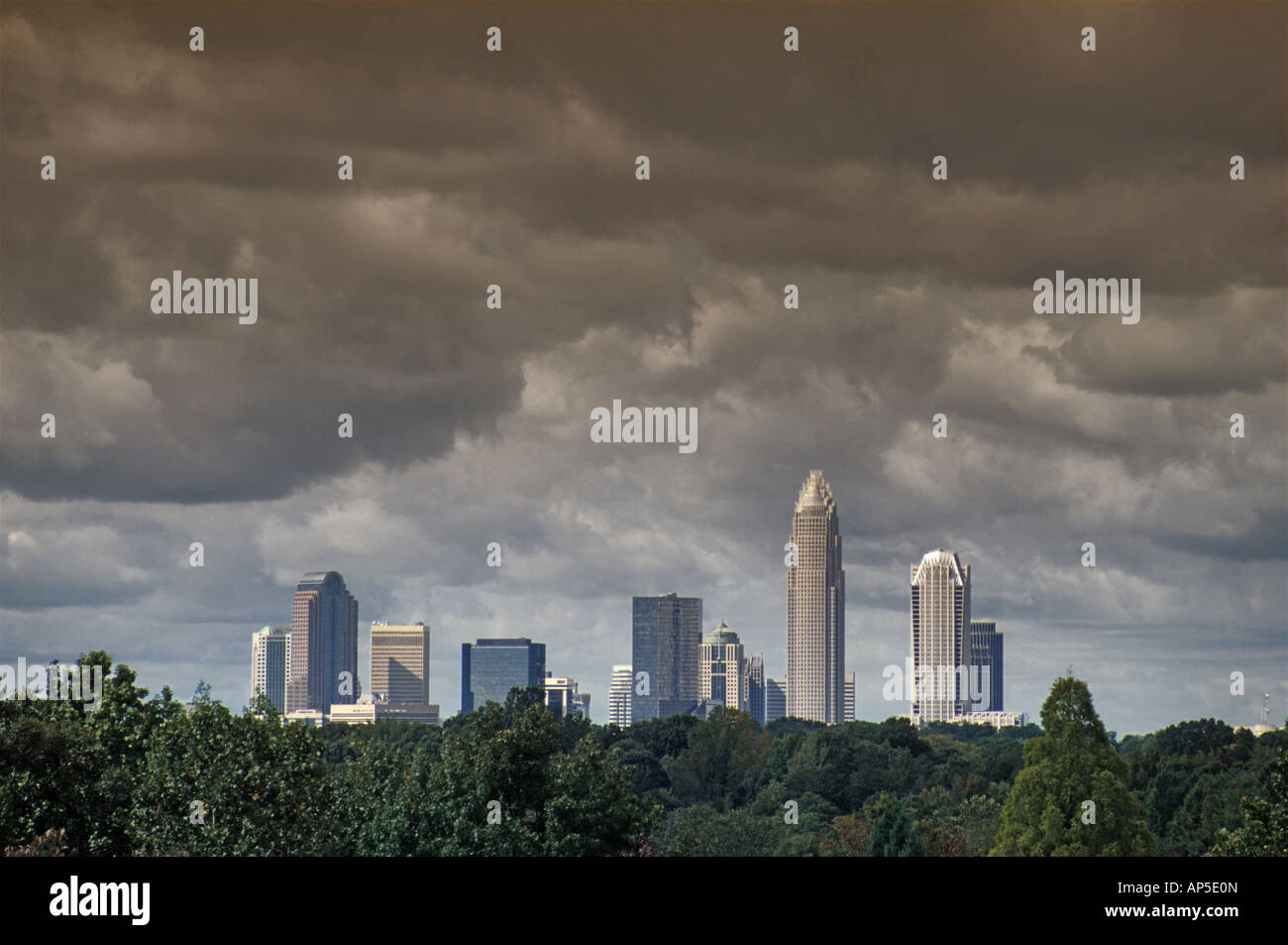 CHARLOTTE NORTH CAROLINA visual data 8
