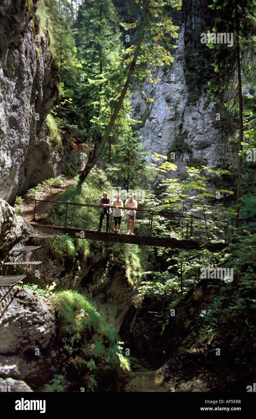 Slovakia Raj Three men at footbridge in Slovensky Raj national park mountains ...