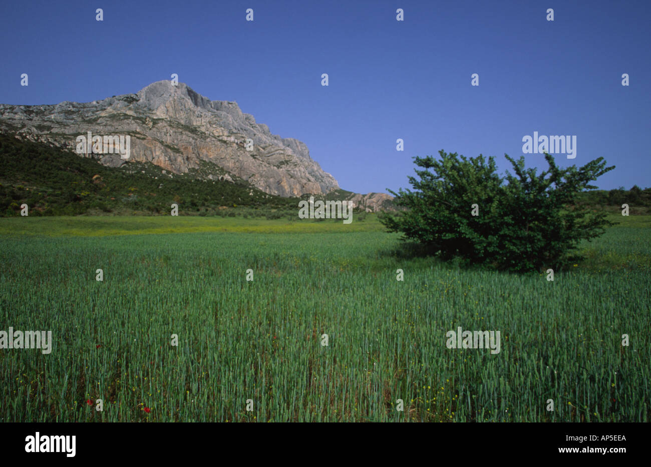 Mountain Sainte Victoire France Stock Photo Alamy