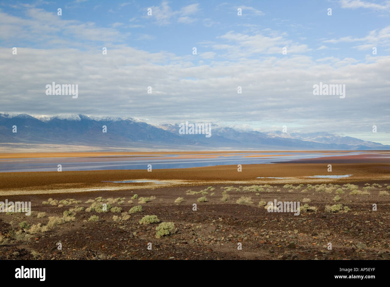 Death valley low point below sea level hi-res stock photography and ...