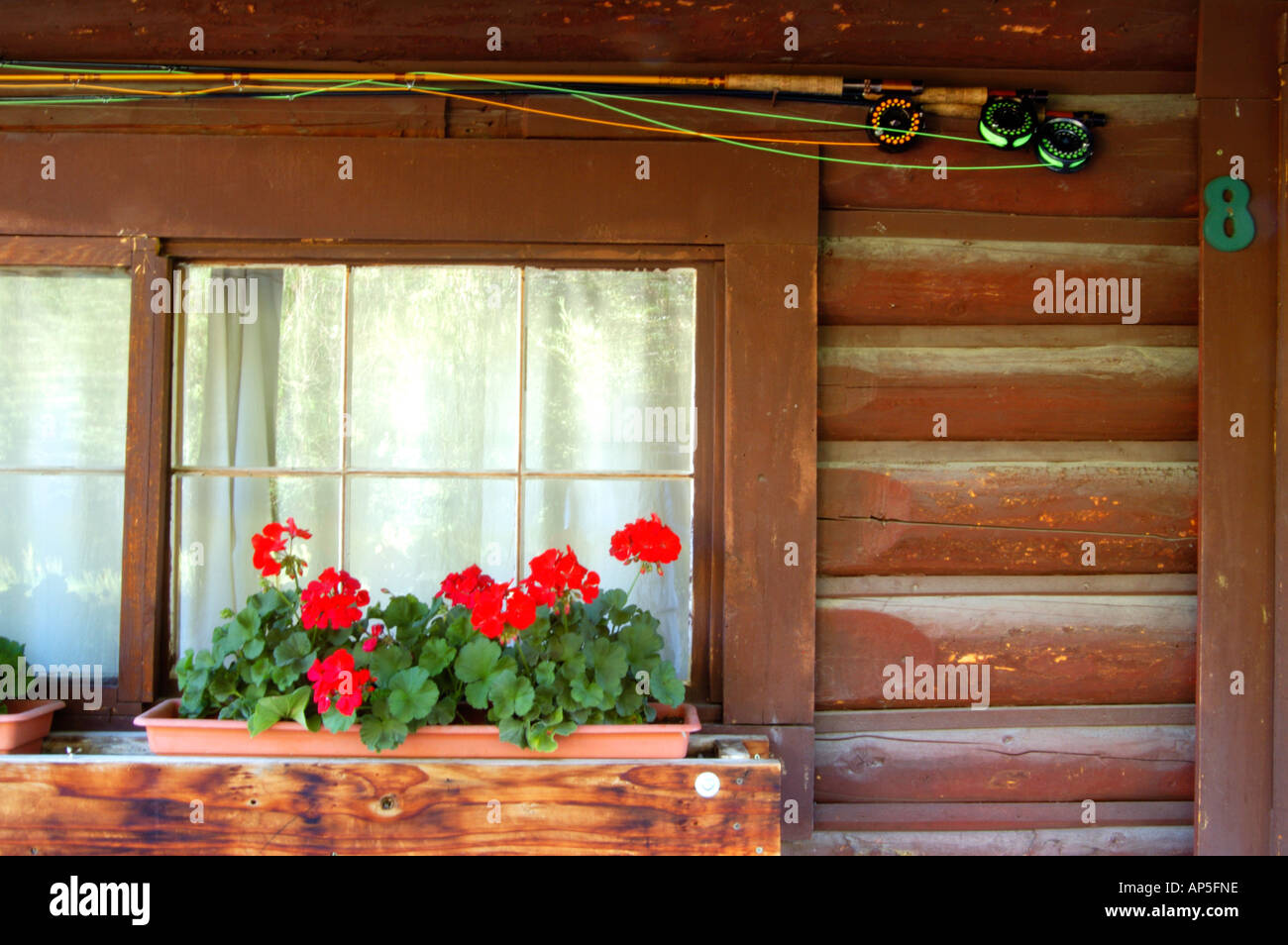 USA, Colorado, Lake City, Fly Fishing Rods hanging on Cabin Wall Stock  Photo - Alamy