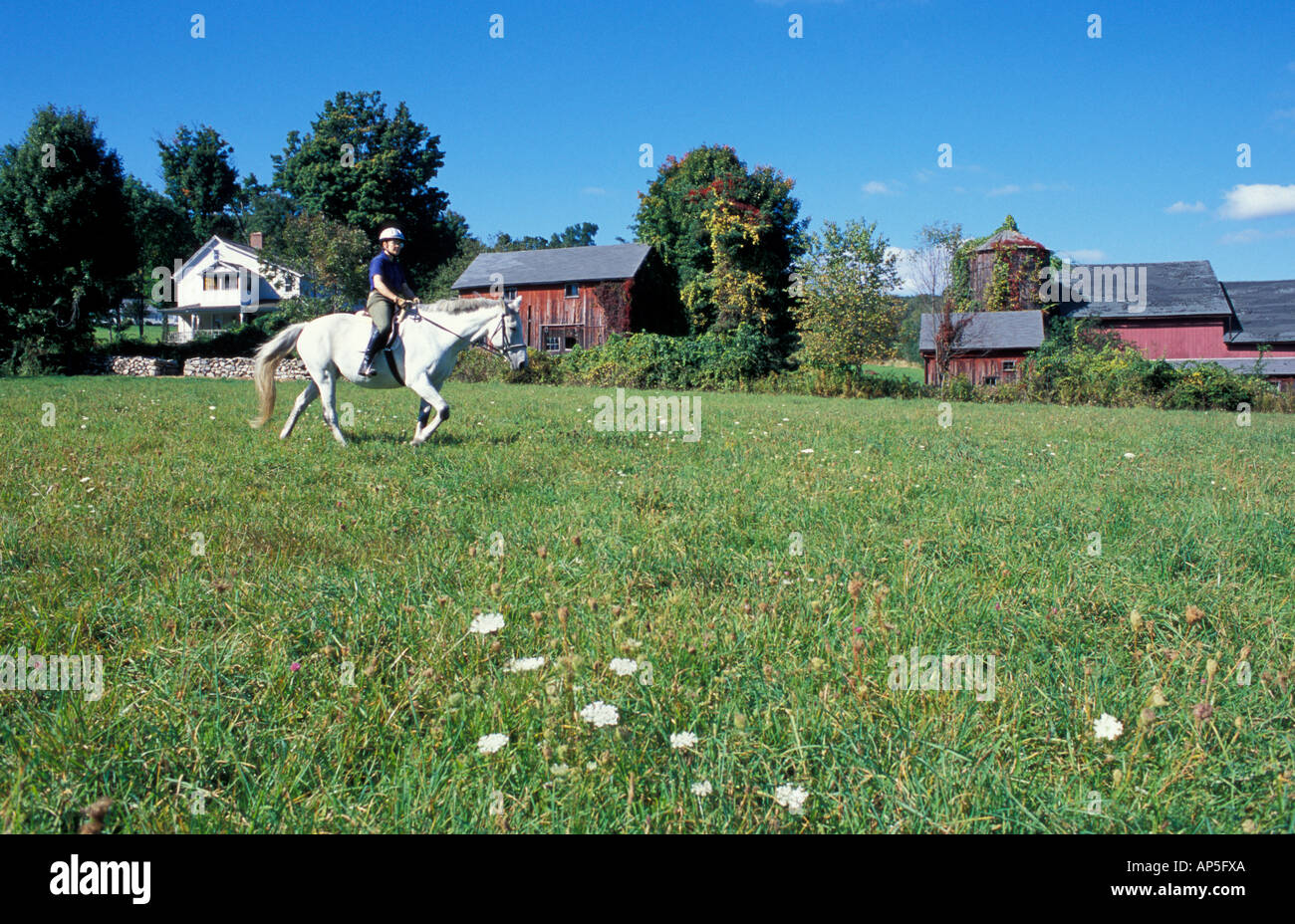 Kent, CT A woman rides a horse on Skiff Mountain in the Litchfield