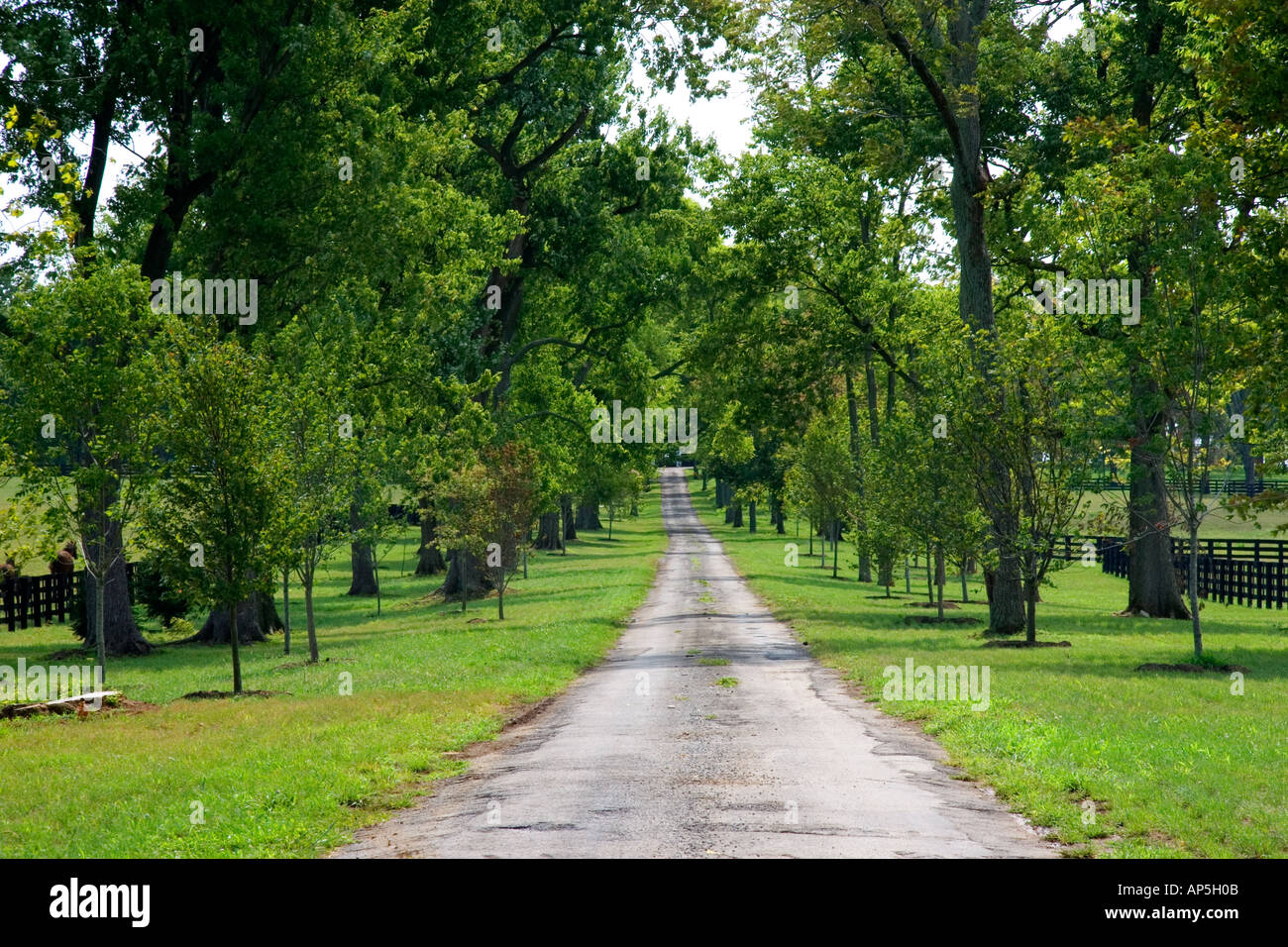 Kentucky country road hi-res stock photography and images - Alamy