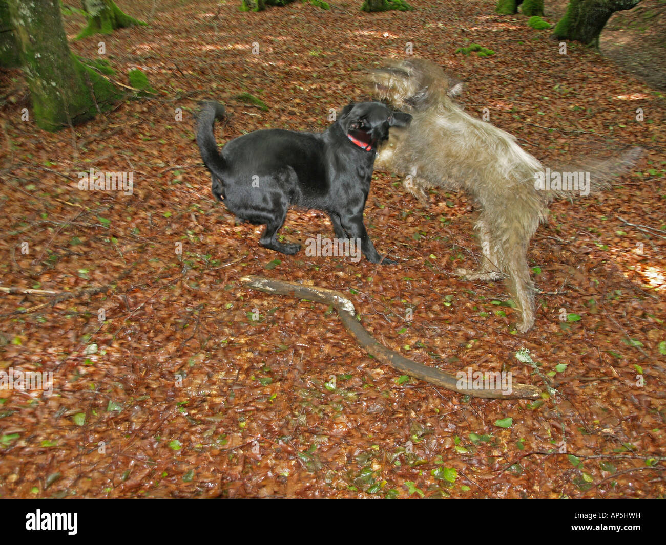 Blustering hi-res stock photography and images - Alamy