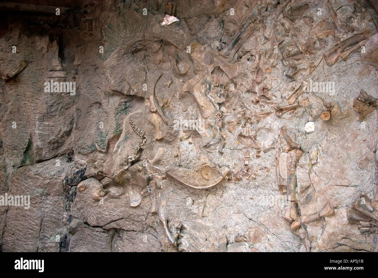 Fossil bone quarry at the Dinosaur National Monument at Vernal Utah