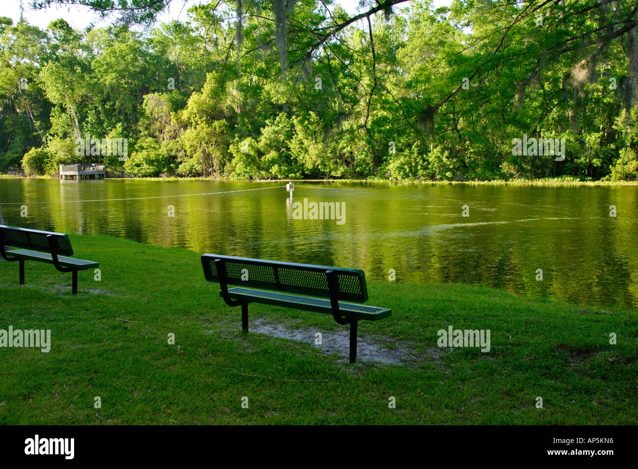 USA, Florida, Ocala National Forest, Alexander Springs Recreational