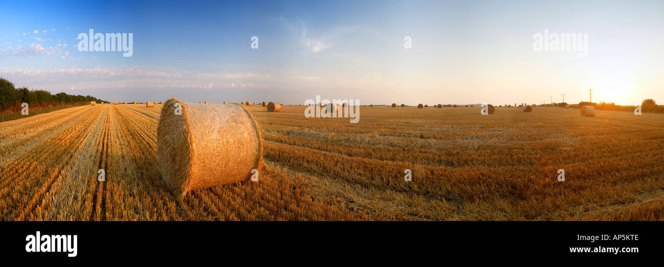 Empty field after harvest hi-res stock photography and images - Alamy