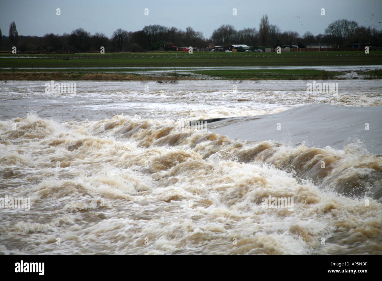 The Trent in flood at Beeston Stock Photo