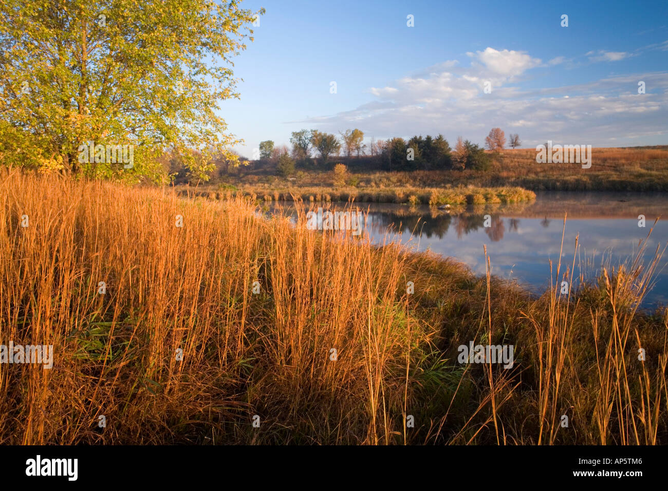 Little Bluestem Grass at Lower Mound Lake at Blue Mounds State Park in