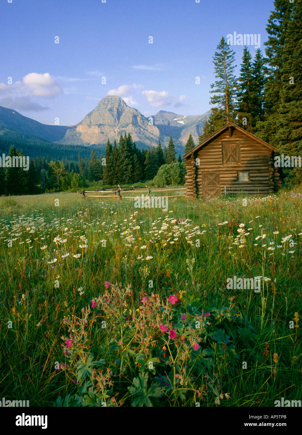 Old Park Service Cabin In The Cut Bank Valley Of Glacier National
