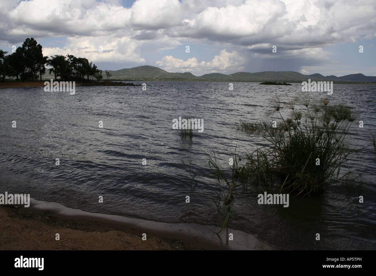 Lake Victoria in Uganda, east Africa Stock Photo Alamy
