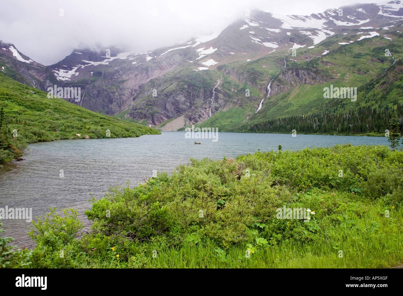Rainy Day at Gunsight Lake in Glacier National Park in Montana Stock