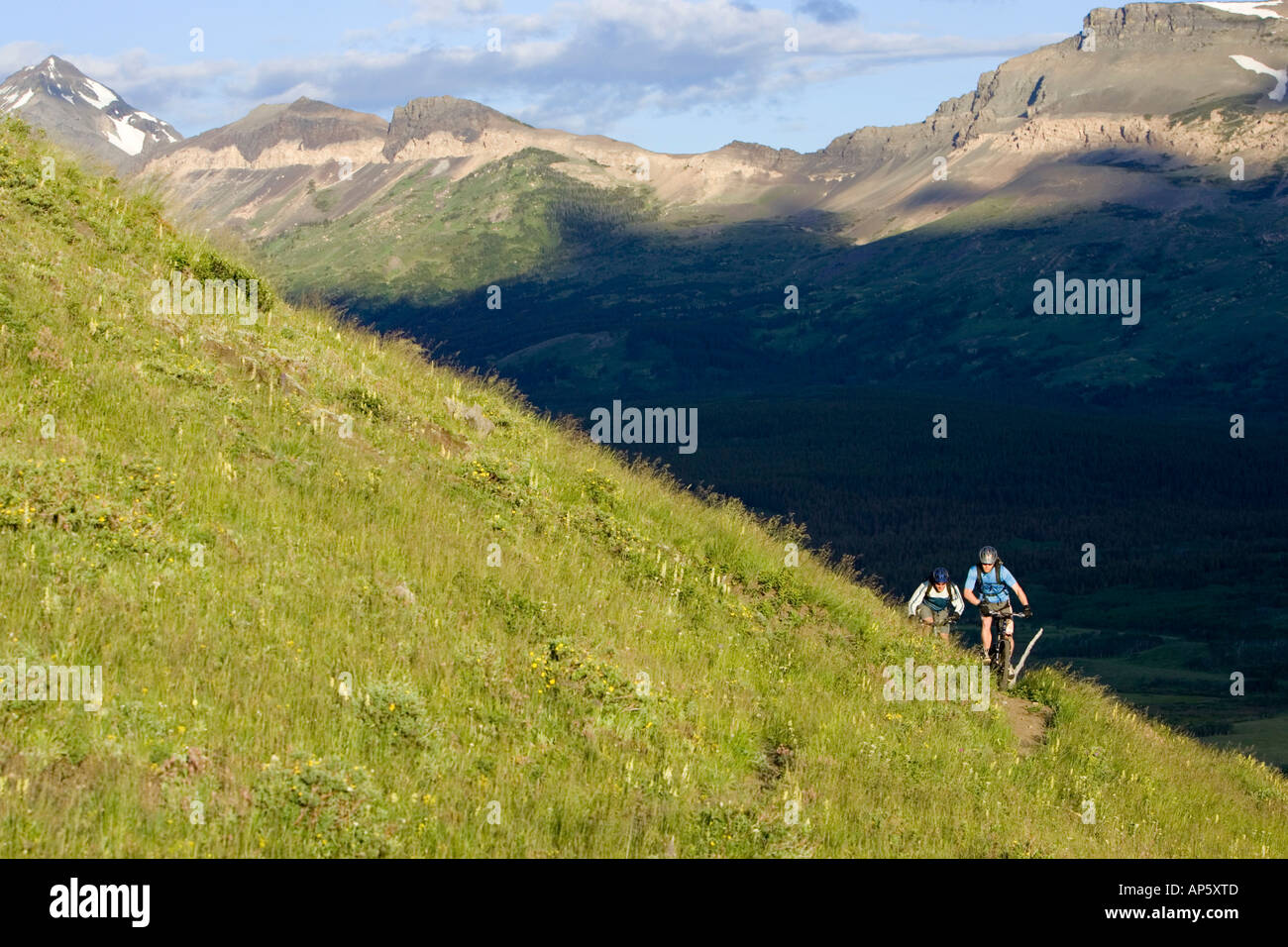 Mountain bikers on Lubec Ridge in the Lewis and Clark National forest