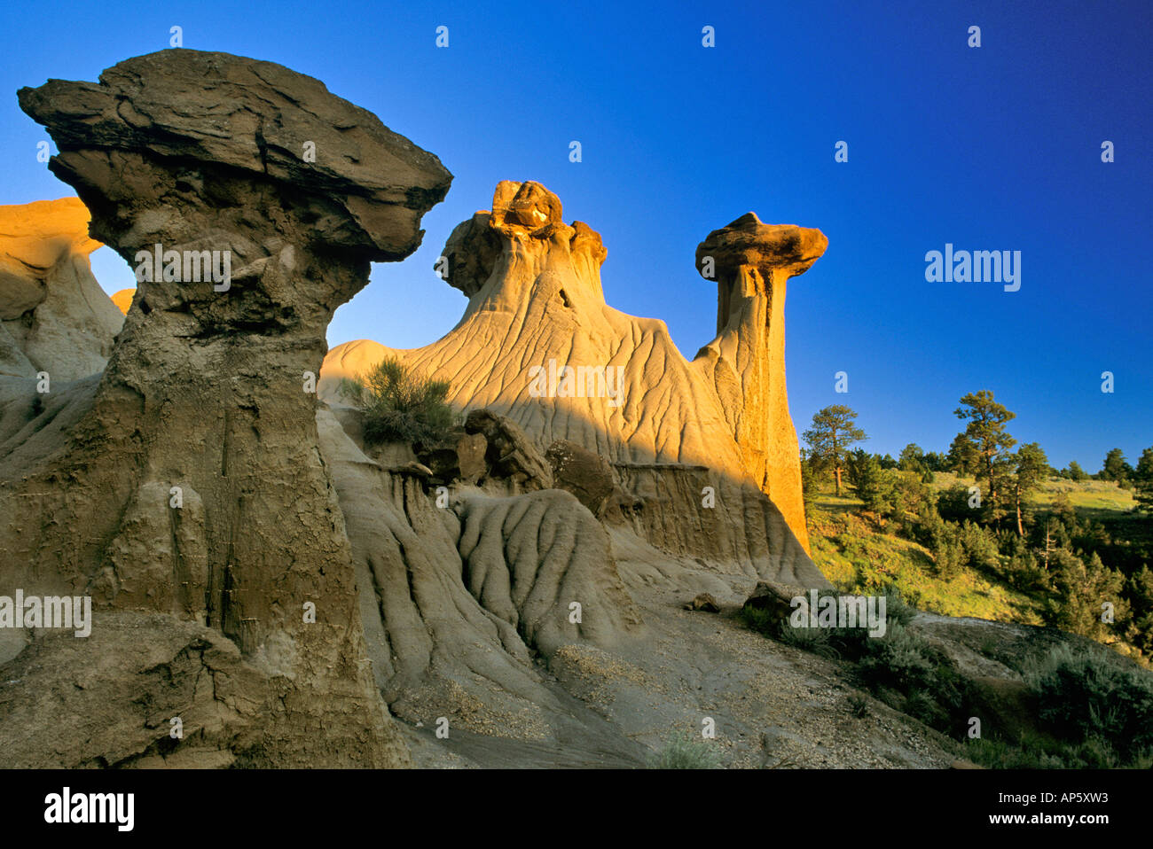 Badlands Formations at Makoshika State Park in Glendive Montana Stock
