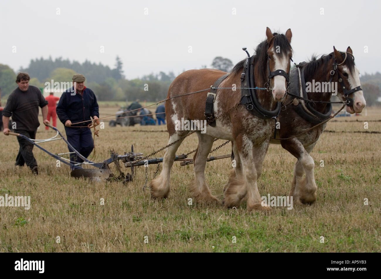 Horse drawn plough hi-res stock photography and images - Alamy