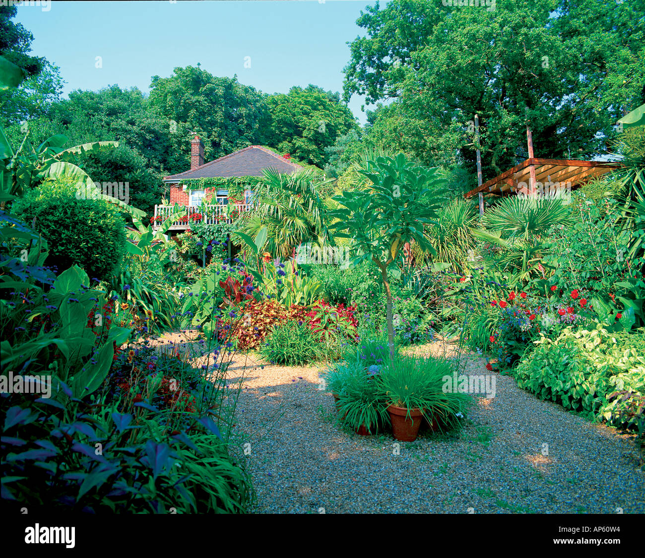 The exotic garden norwich hi-res stock photography and images - Alamy