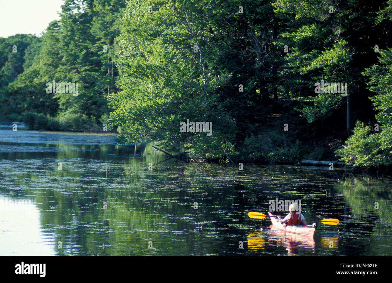 Hampton, NH Kayaking on the Taylor River where it flows through the