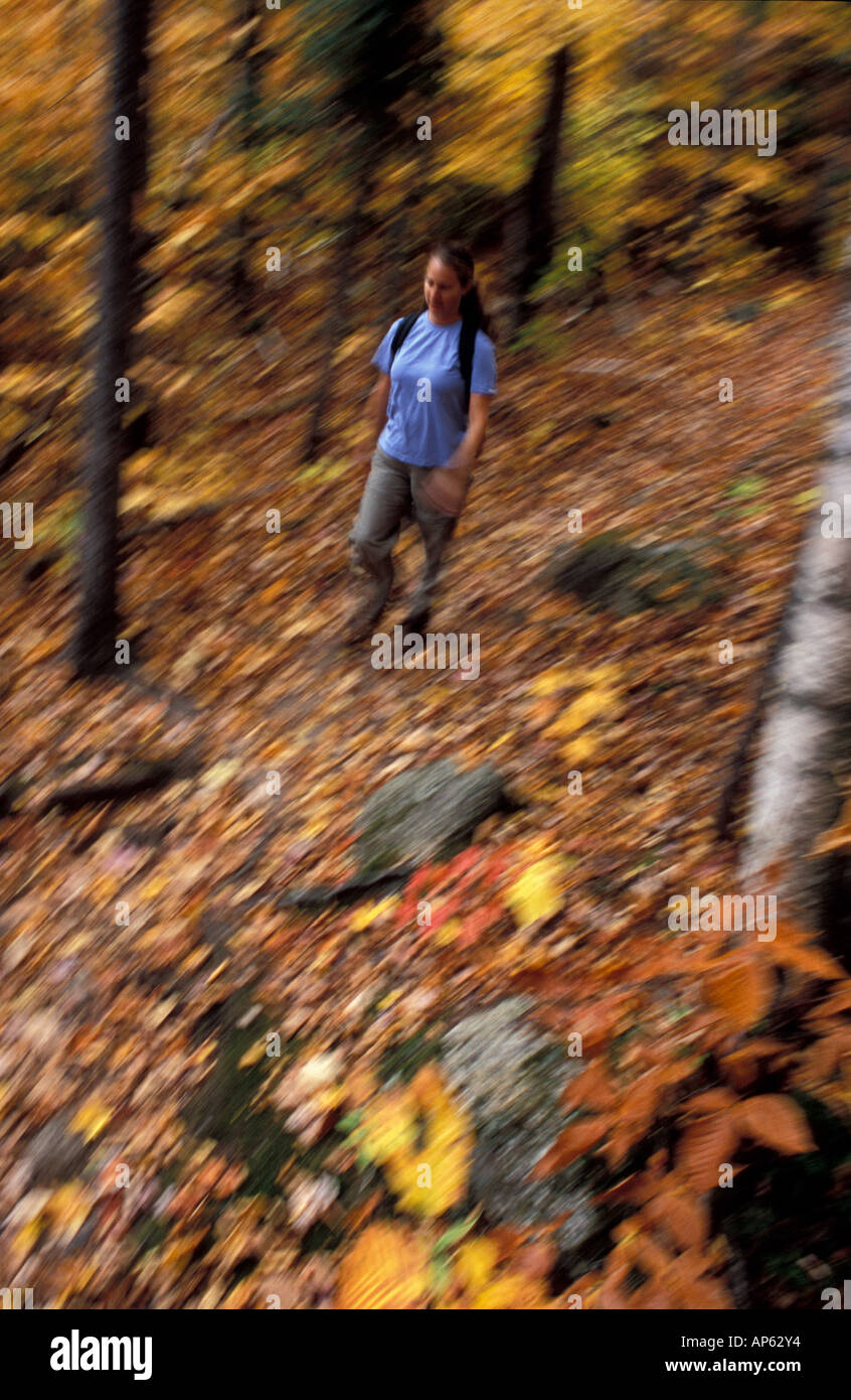 Hiking the Sugarloaf Trail. White Mountain National Forest. Fall. Twin