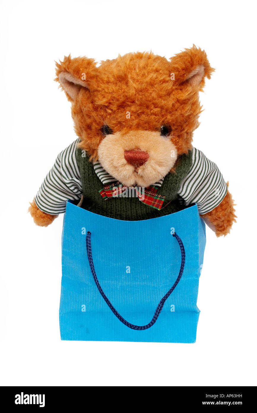 bear toy on a Shopping bag Stock Photo