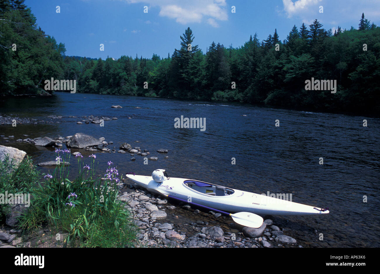 Errol, NH. Kayak and blue flag iris on a rocky island in the