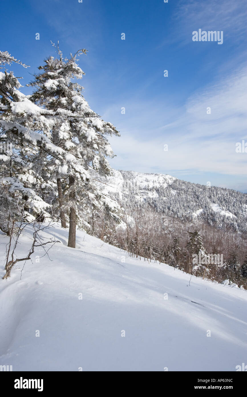 PJ Ledge after a fresh snowfall on Mount Cardigan in Canaan, NH. Clark Trail.n Stock Photo Alamy