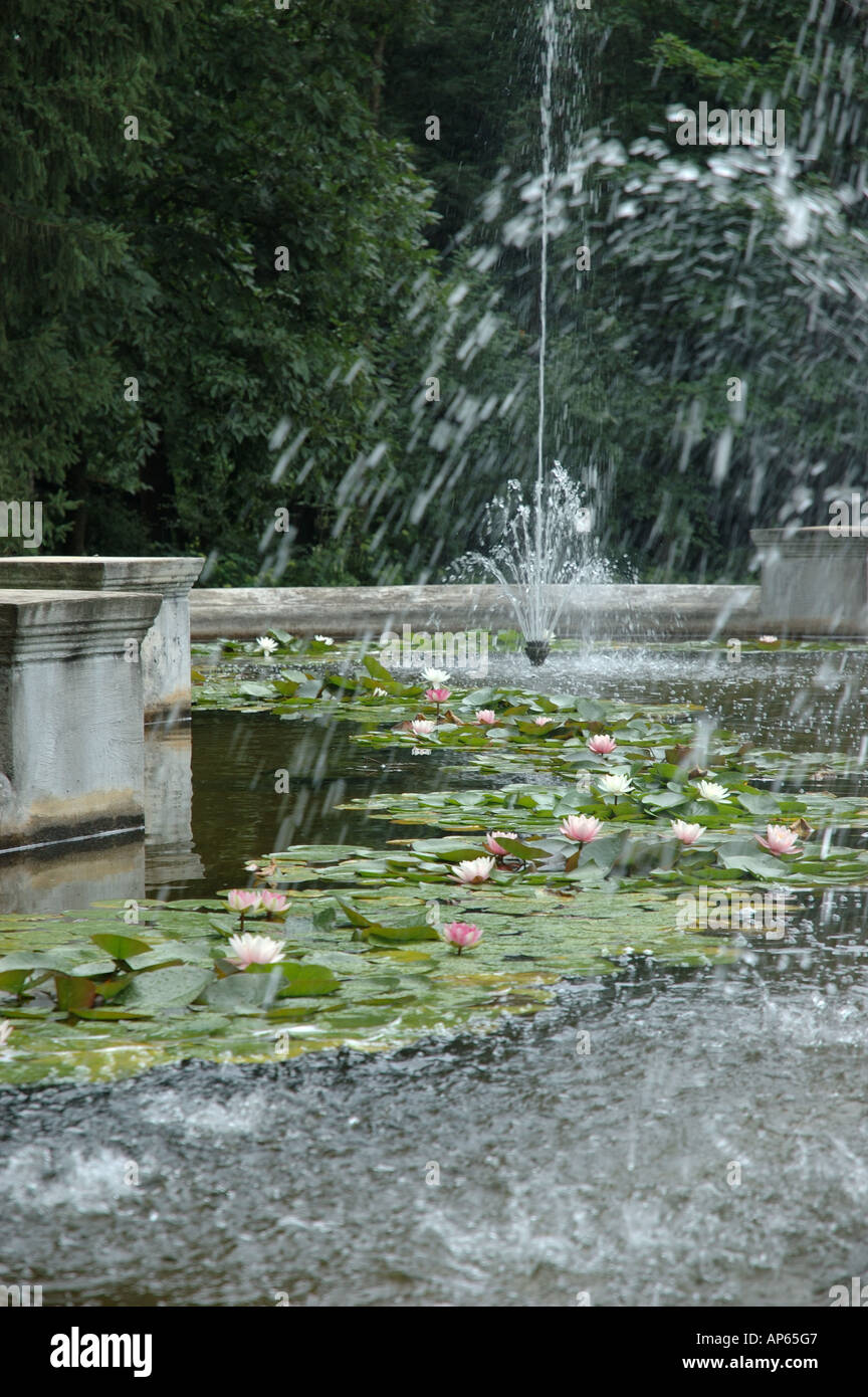 Saratoga Springs, NY, USA, fountain with lily pads at Yaddo Gardens Stock Photo Alamy