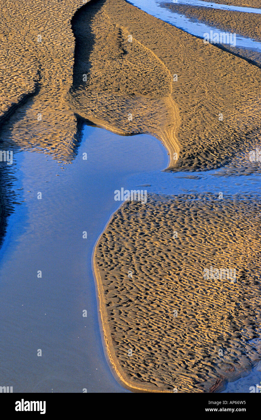 Mud Bars on the Little Missouri River in Theodore Roosevelt National