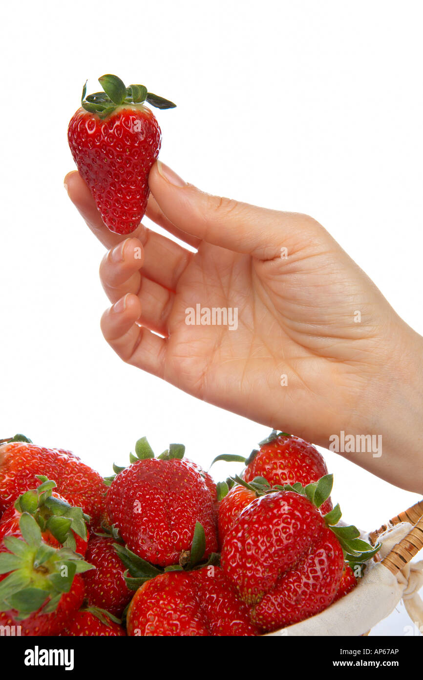 A woman holding a fresh juicy strawberry Stock Photo - Alamy